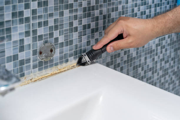 Trusted Atkins, AR Mold Remediation Experts